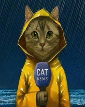 Load image into Gallery viewer, a cat in a raincoat holding a microphone