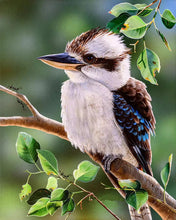 Load image into Gallery viewer, a bird sitting on a branch of a tree