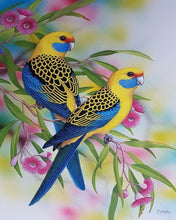 Load image into Gallery viewer, Budgies