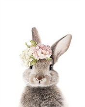 Load image into Gallery viewer, Bunny
