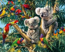 Load image into Gallery viewer, Koalas and Lorikeets