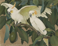 Load image into Gallery viewer, two white birds perched on top of a tree branch