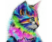 Load image into Gallery viewer, Kyle you Cute Kitten!