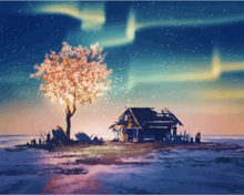 Load image into Gallery viewer, Northern Lights