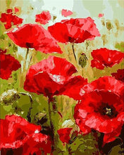 Load image into Gallery viewer, Red Poppies