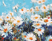 Load image into Gallery viewer, Daisies