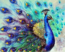 Load image into Gallery viewer, Peacock